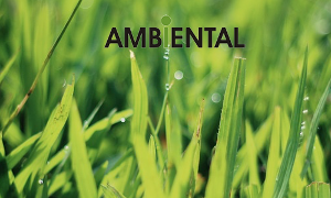 AMBIENTAL PEKE
